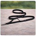 Pawly Adventure Lead