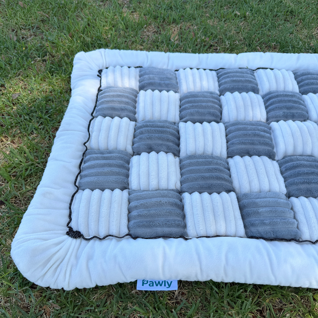 Pawly Comfort Blanket