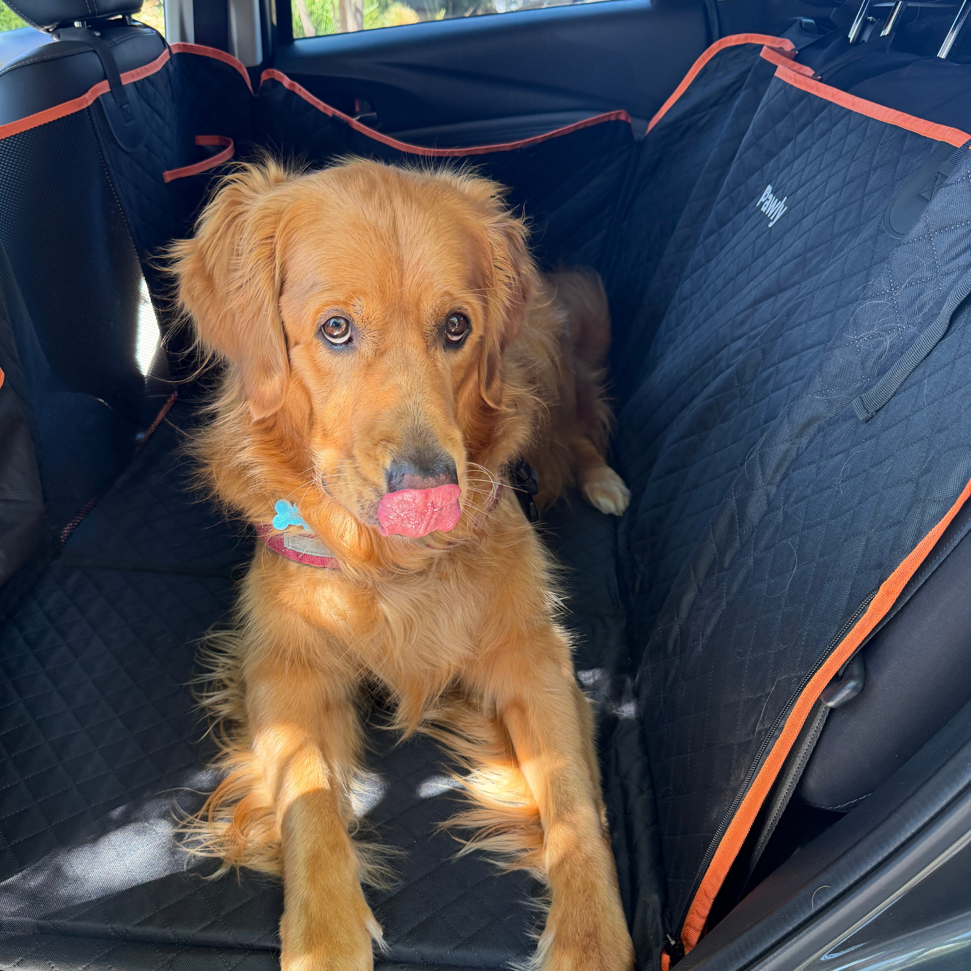Pawly Travel Seat Cover