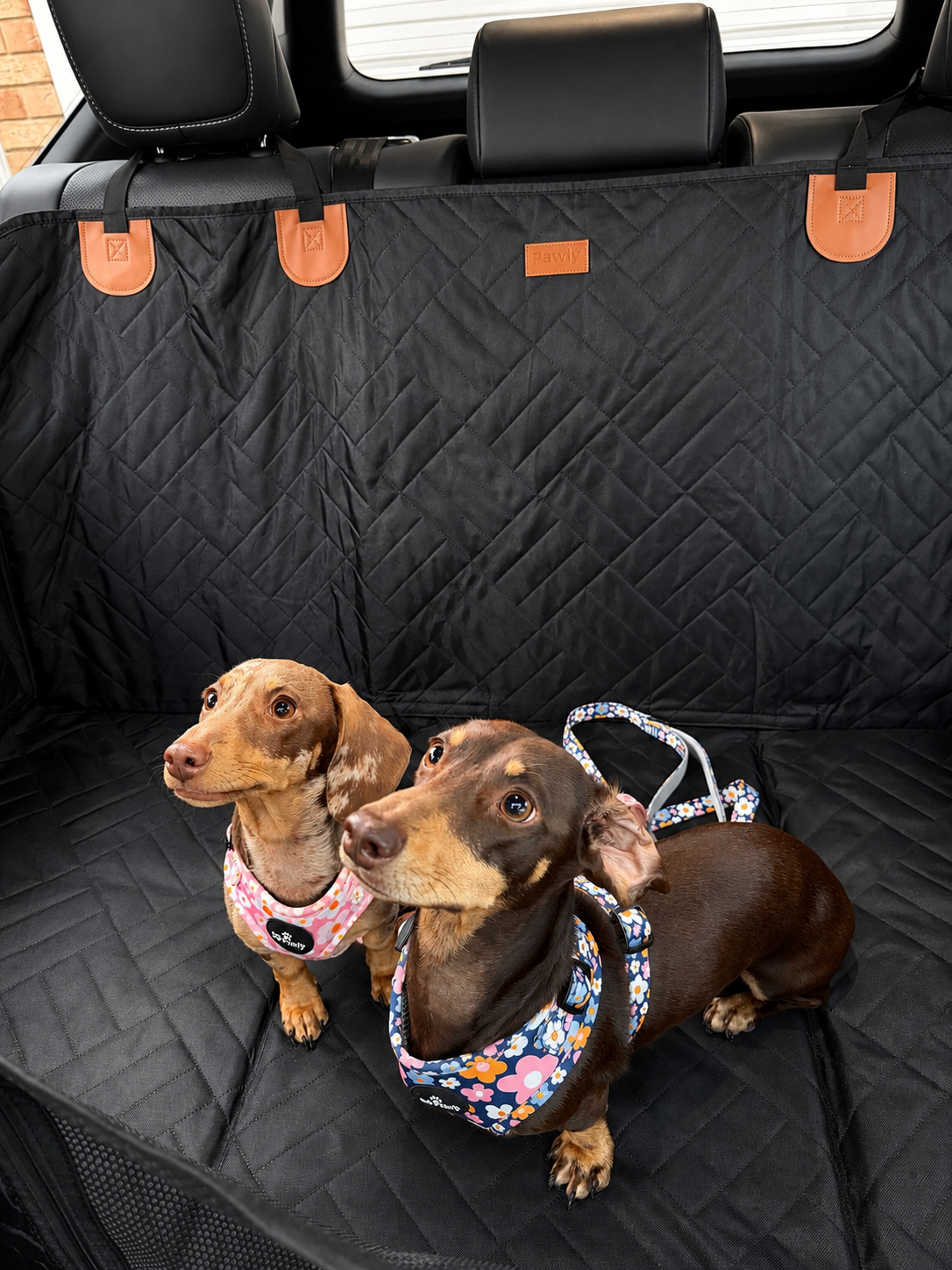 Pawly Travel Seat Cover