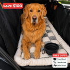 Pawly™ Travel Bundle