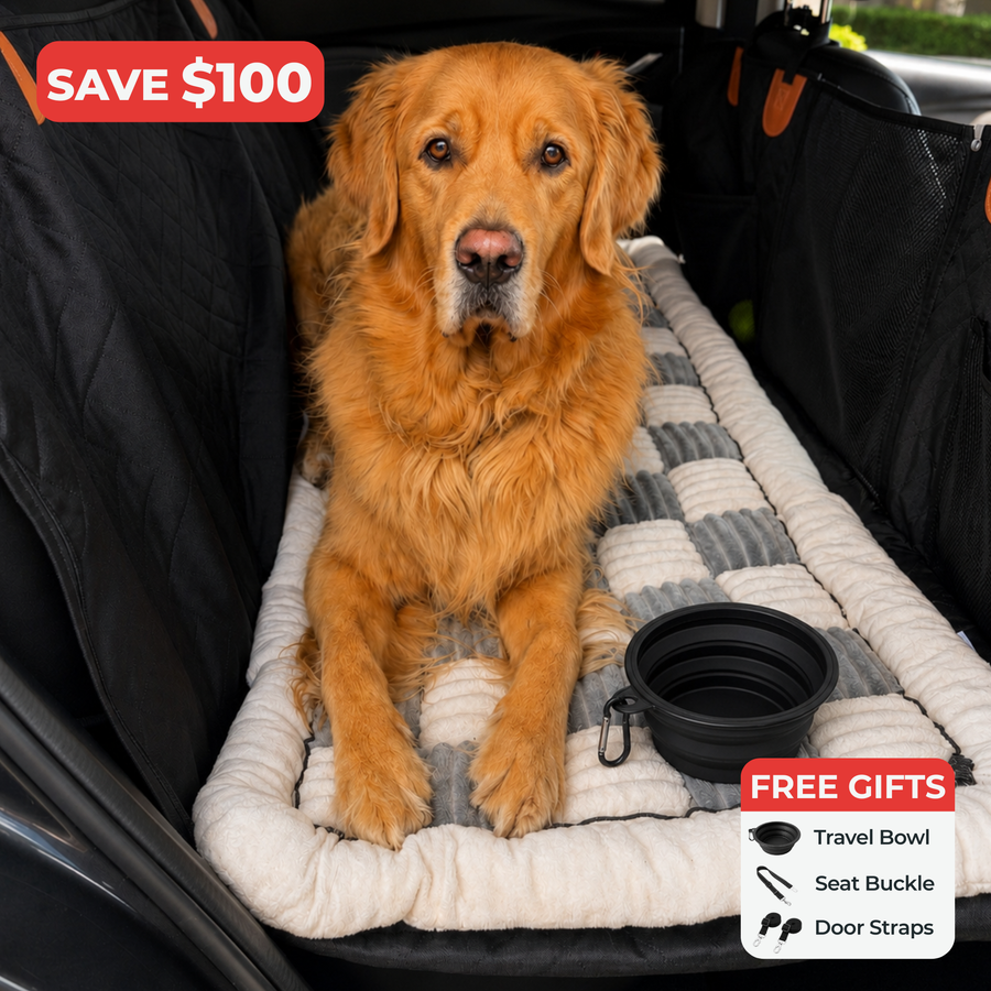 Pawly™ Travel Bundle
