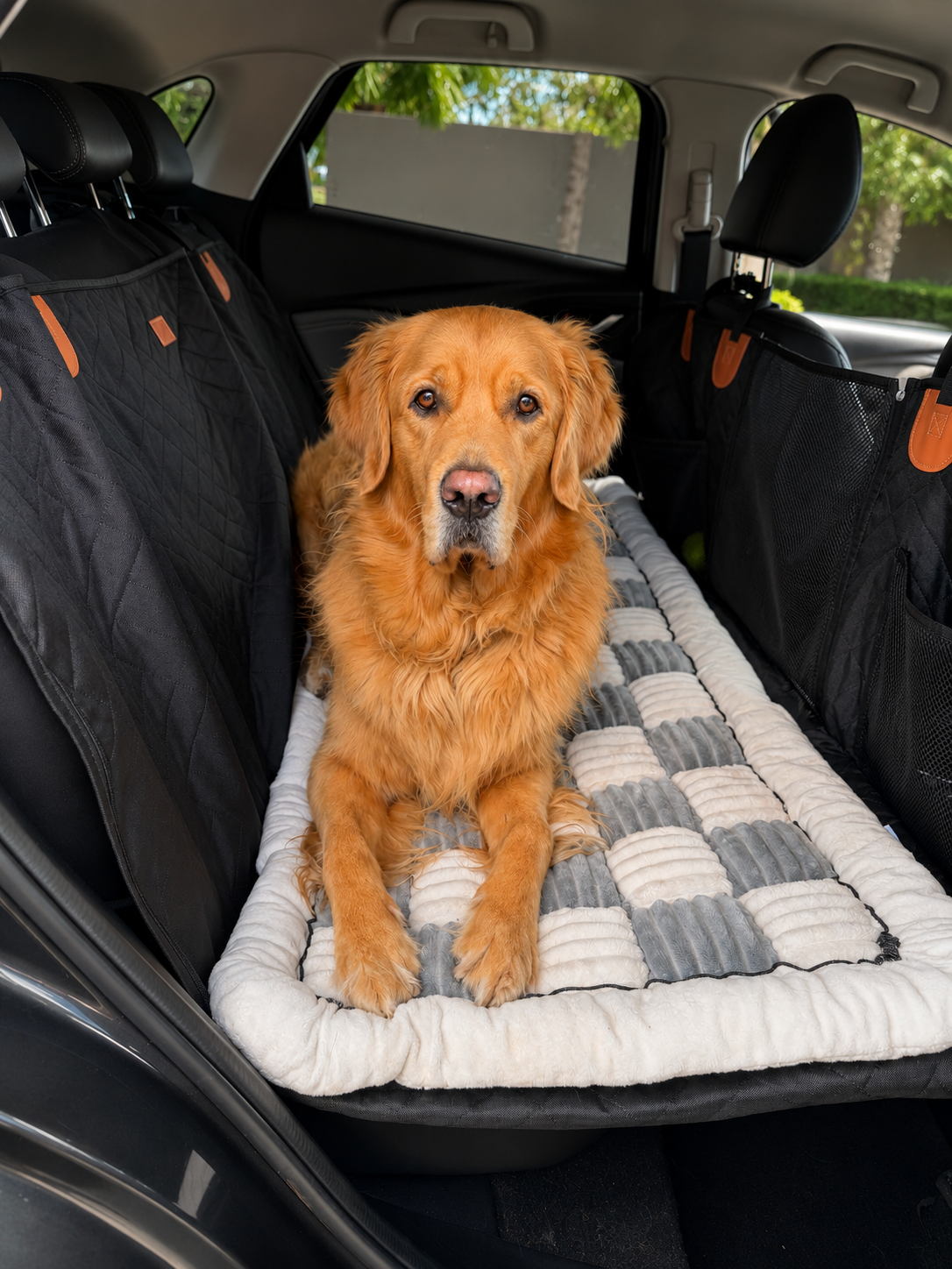 Pawly Travel Comfort Bundle