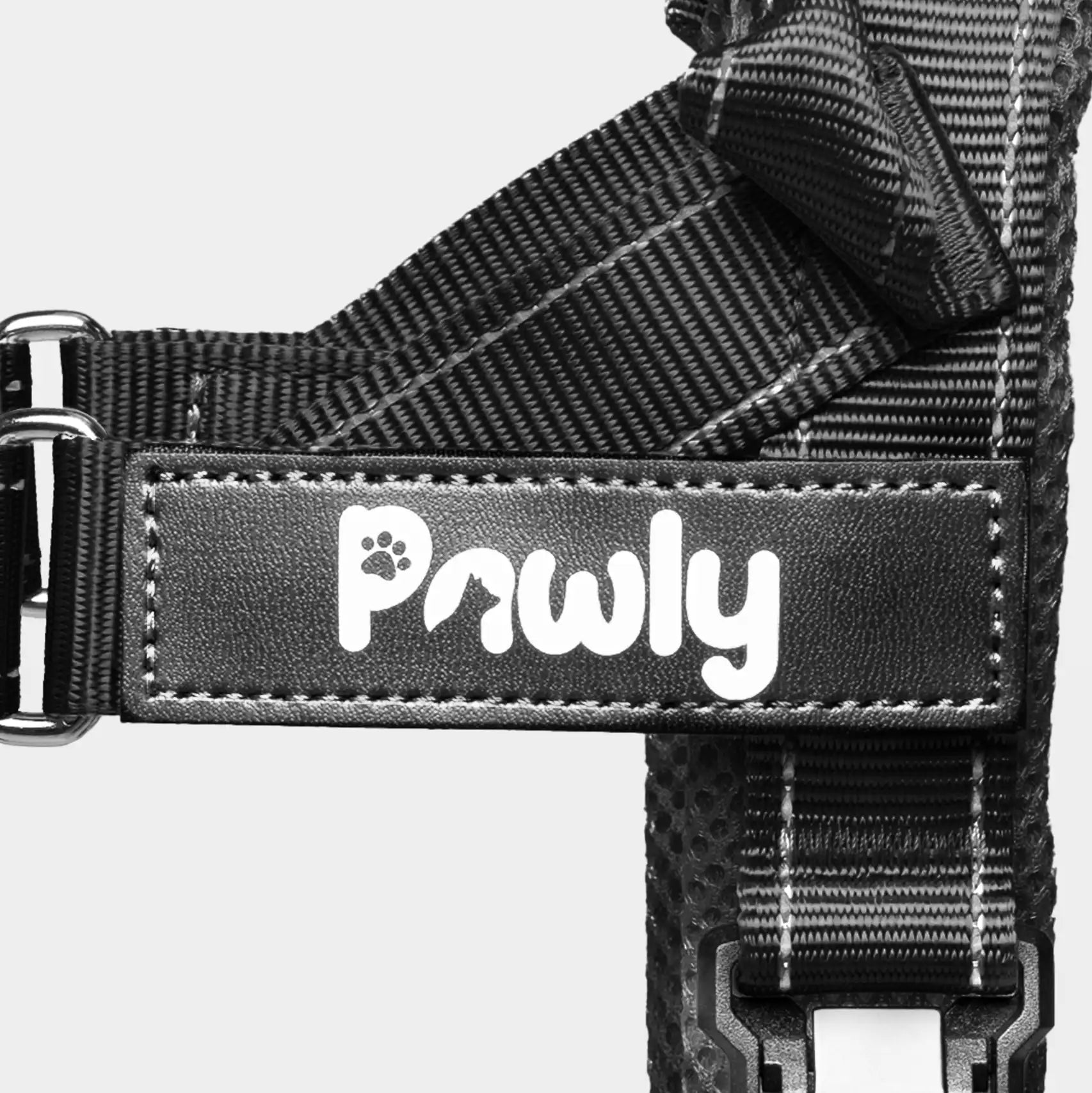 Pawly No-Pull Harness