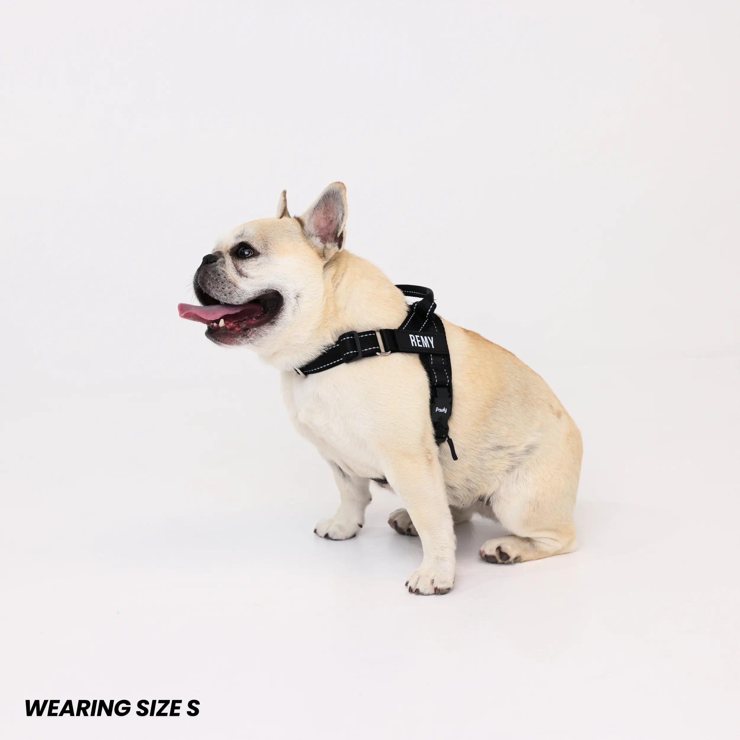 Pawly No-Pull Harness