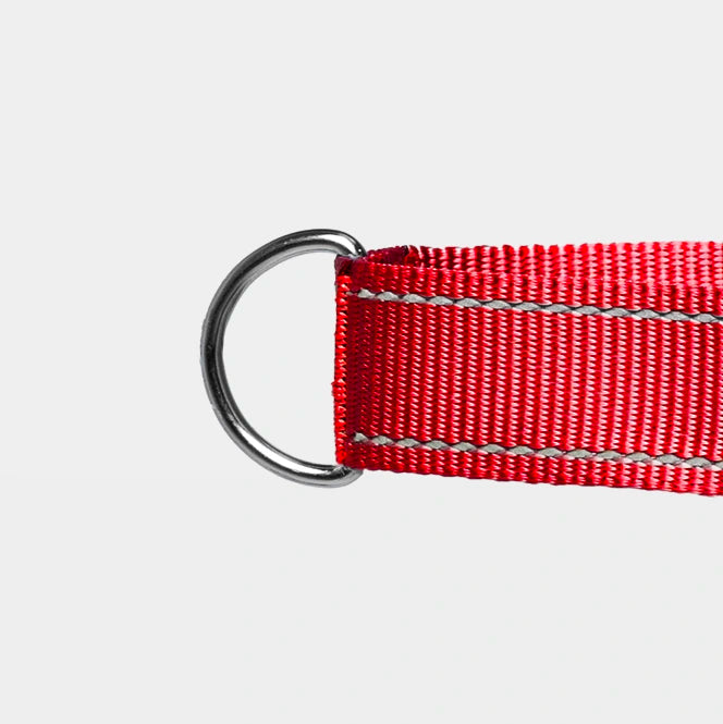 Pawly No-Pull Harness