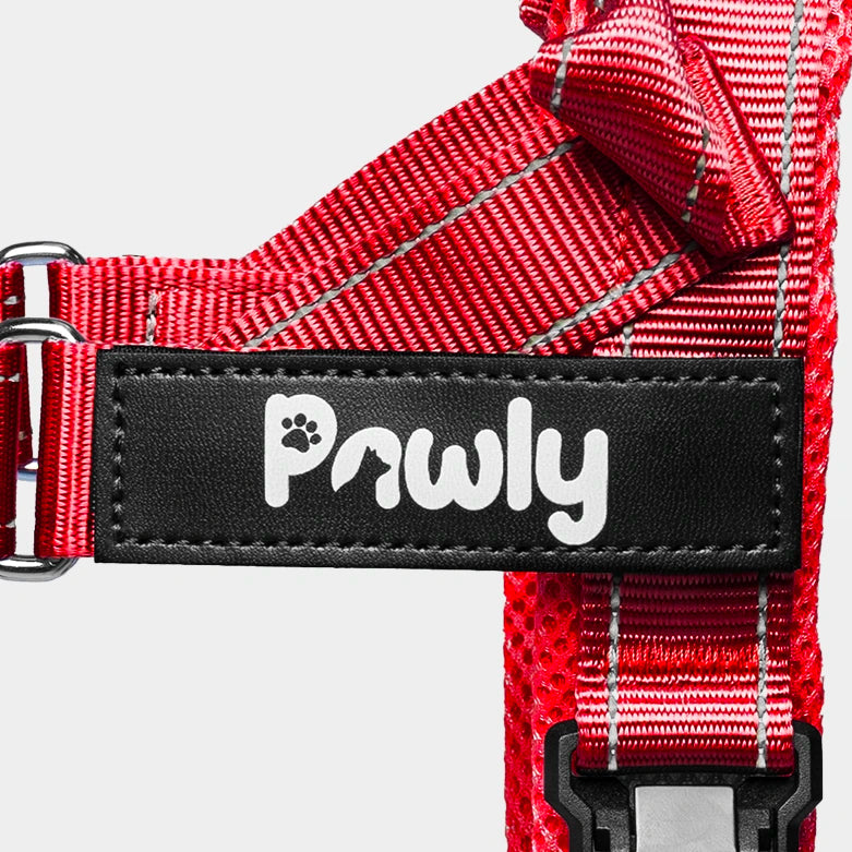 Pawly No-Pull Harness