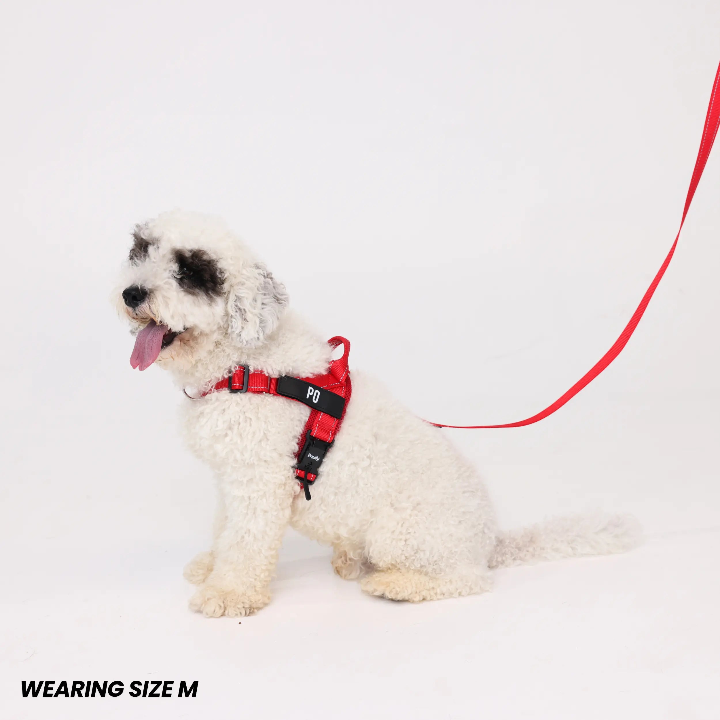 Pawly No-Pull Harness