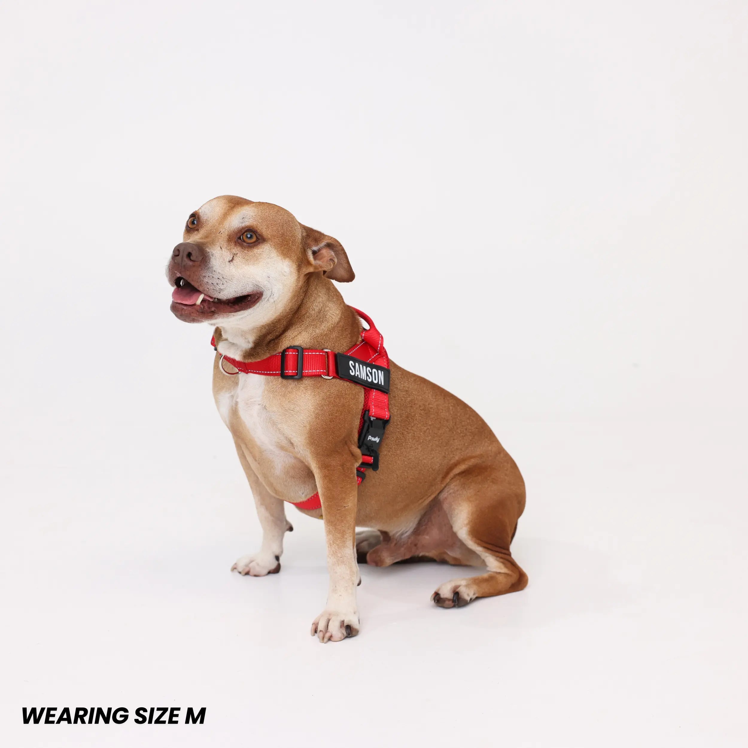 Pawly No-Pull Harness