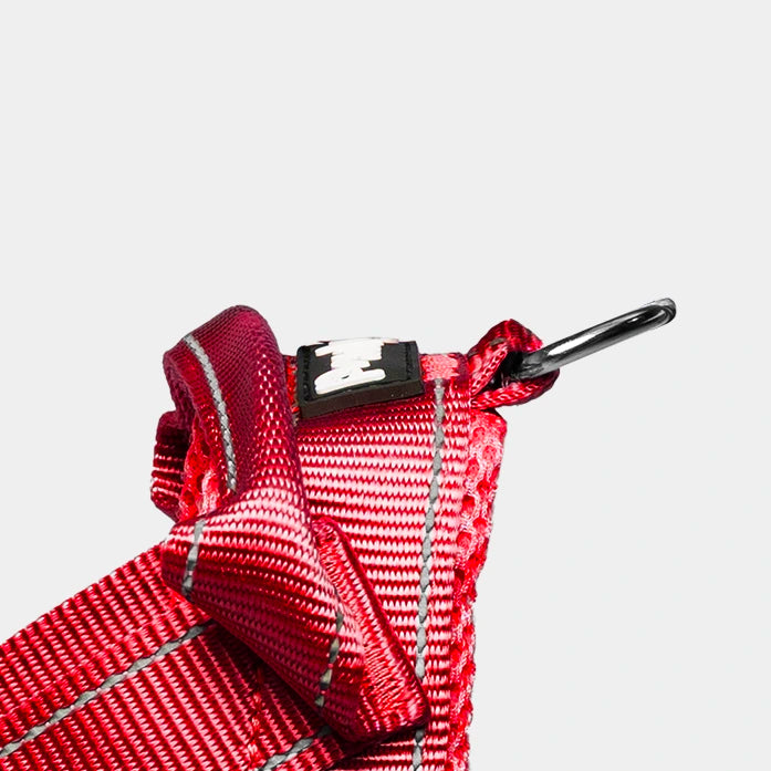 Pawly No-Pull Harness