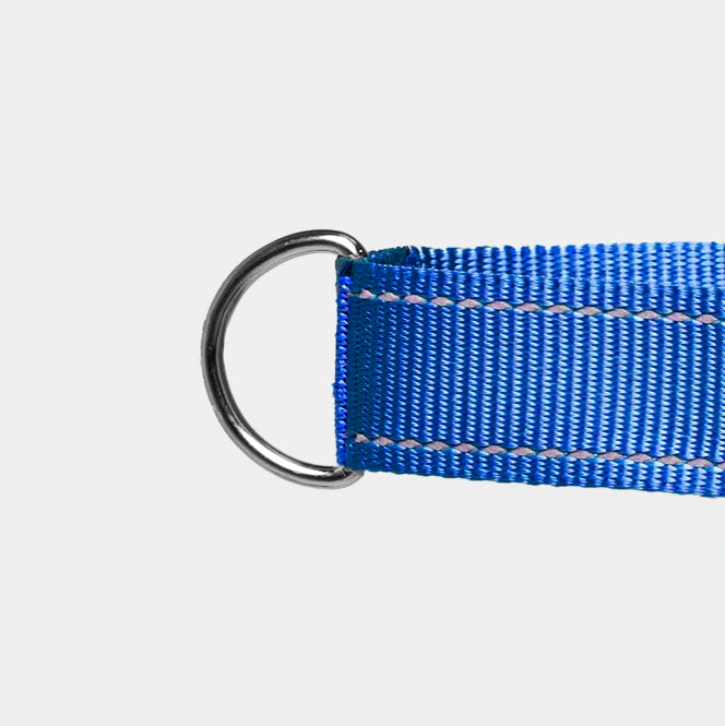 Pawly No-Pull Harness