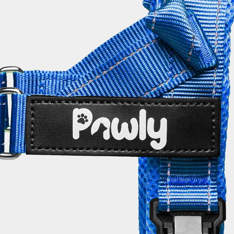 Pawly No-Pull Harness