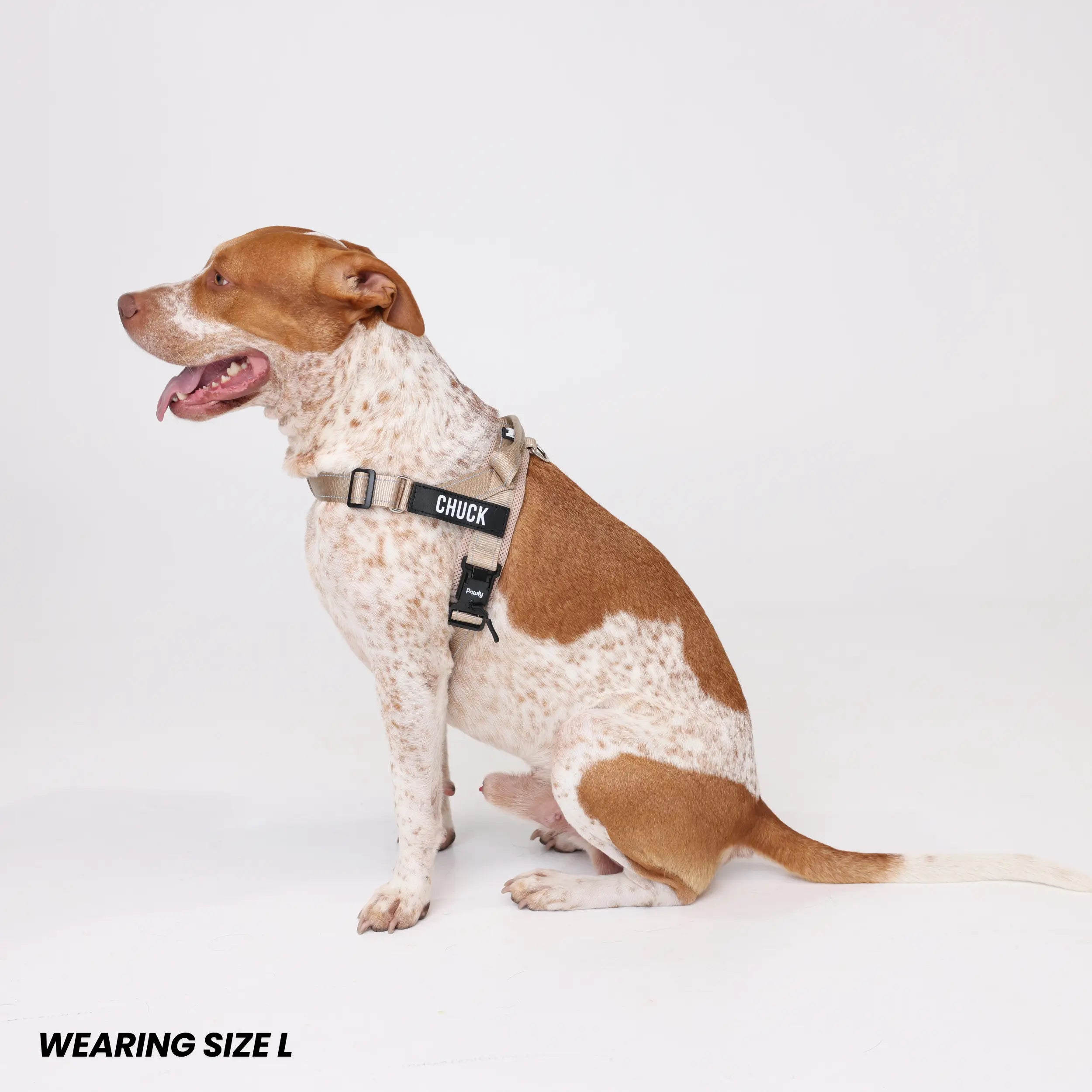 Pawly No-Pull Harness