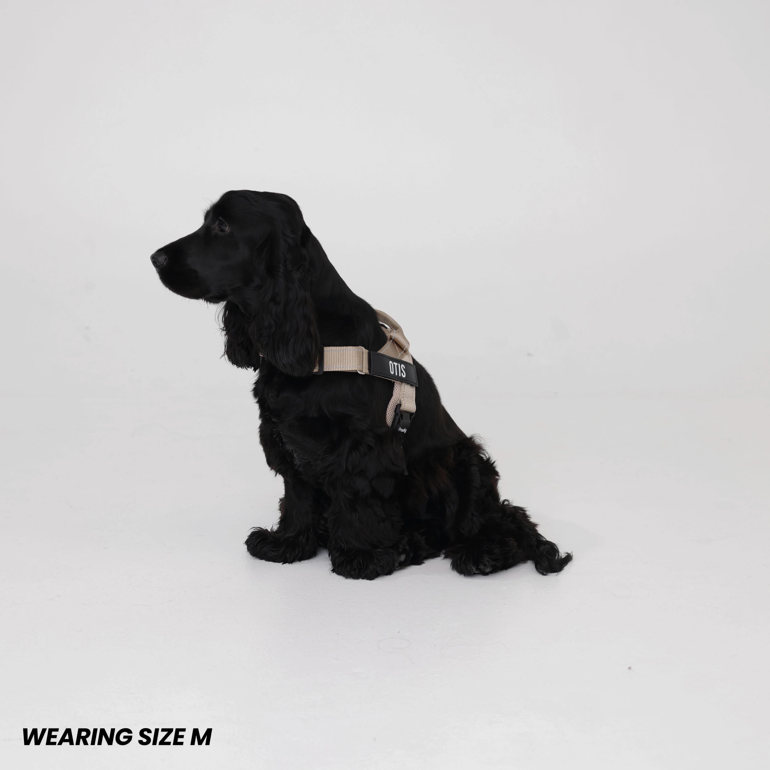 Pawly No-Pull Harness