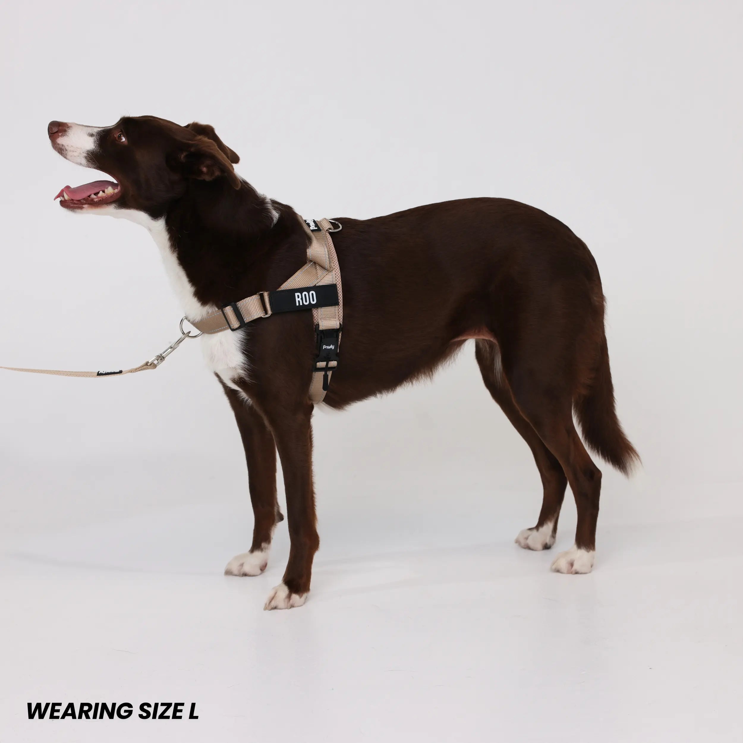 Pawly No-Pull Harness