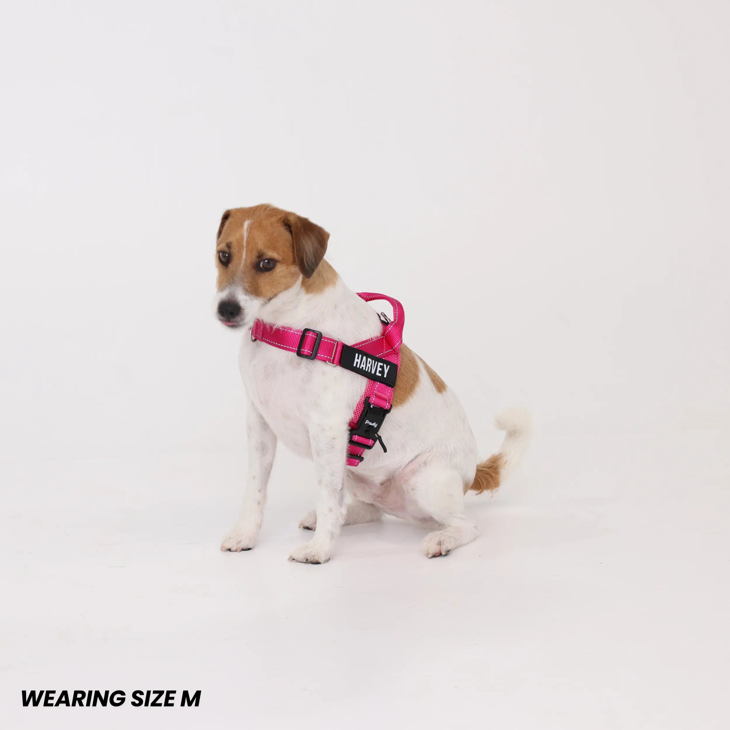 Pawly No-Pull Harness