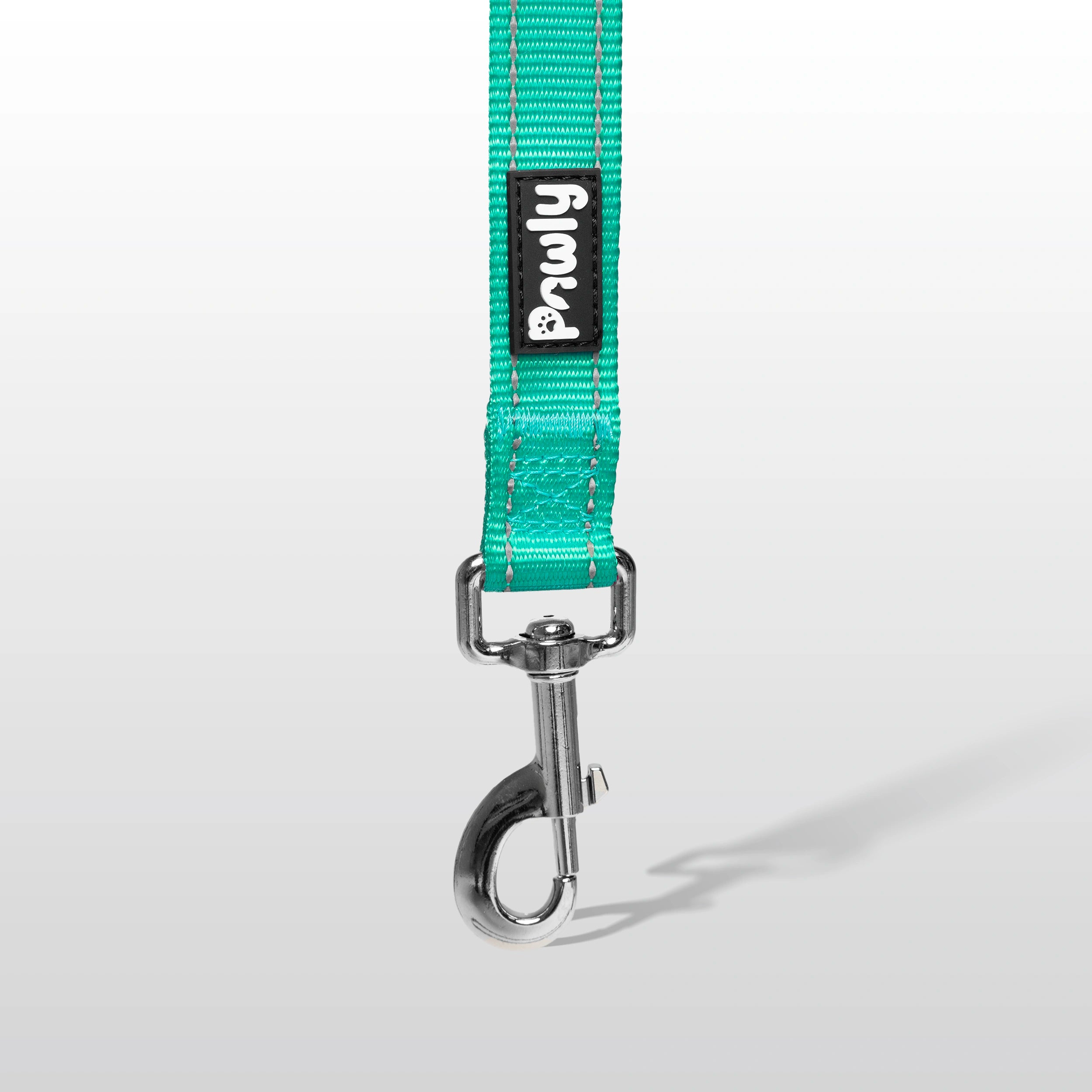 Pawly Reflective Leash