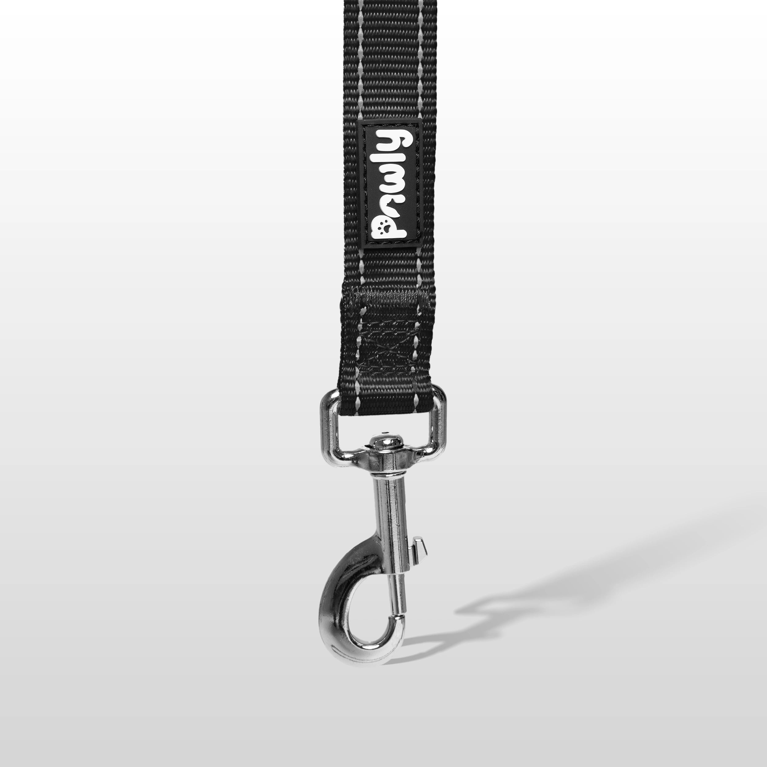 Pawly Reflective Leash