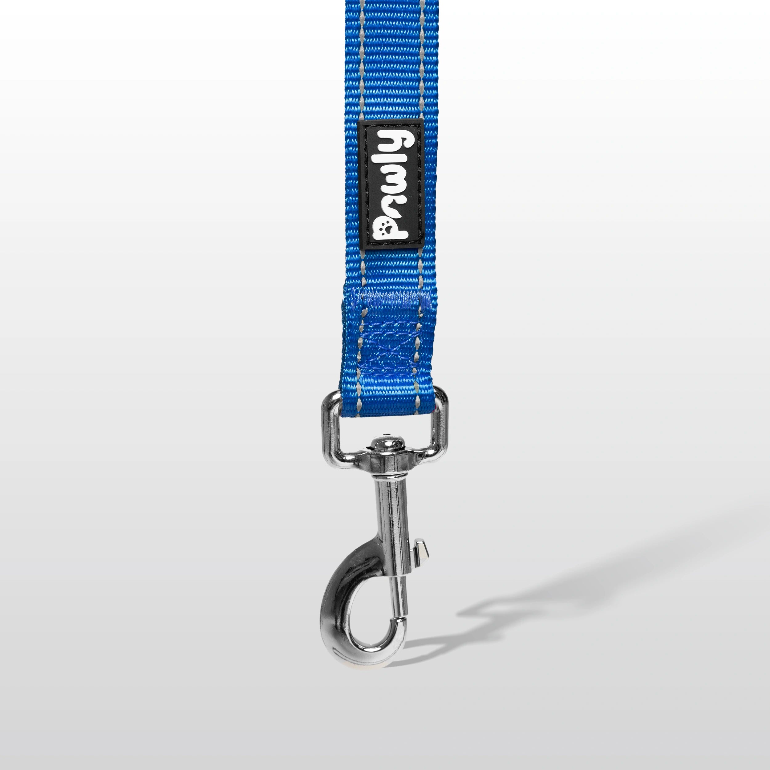 Pawly Reflective Leash