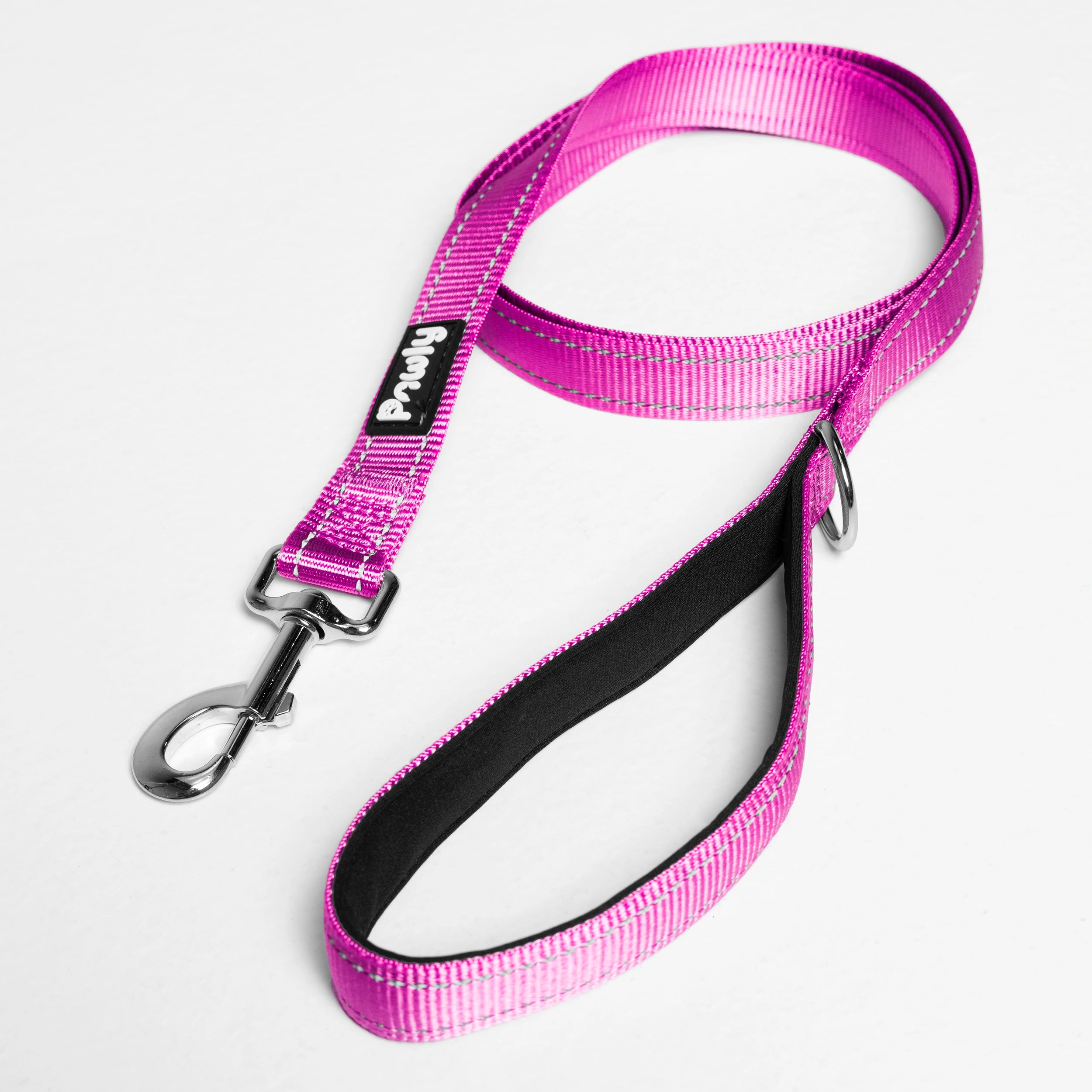 Pawly Reflective Leash