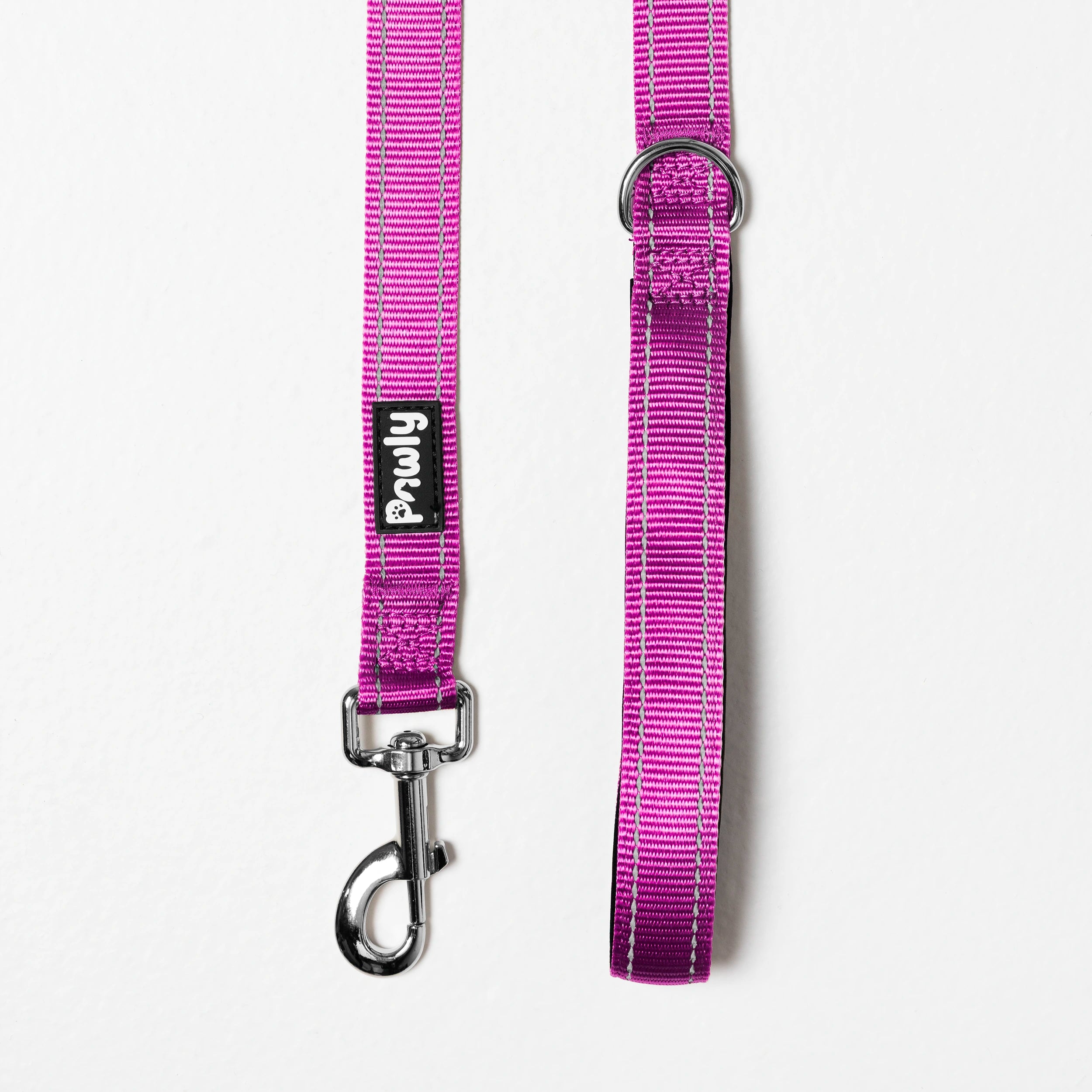 Pawly Reflective Leash