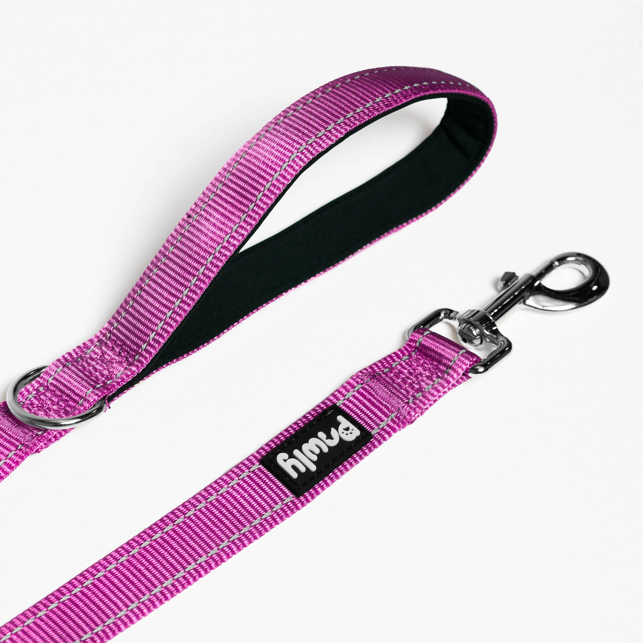 Pawly Reflective Leash