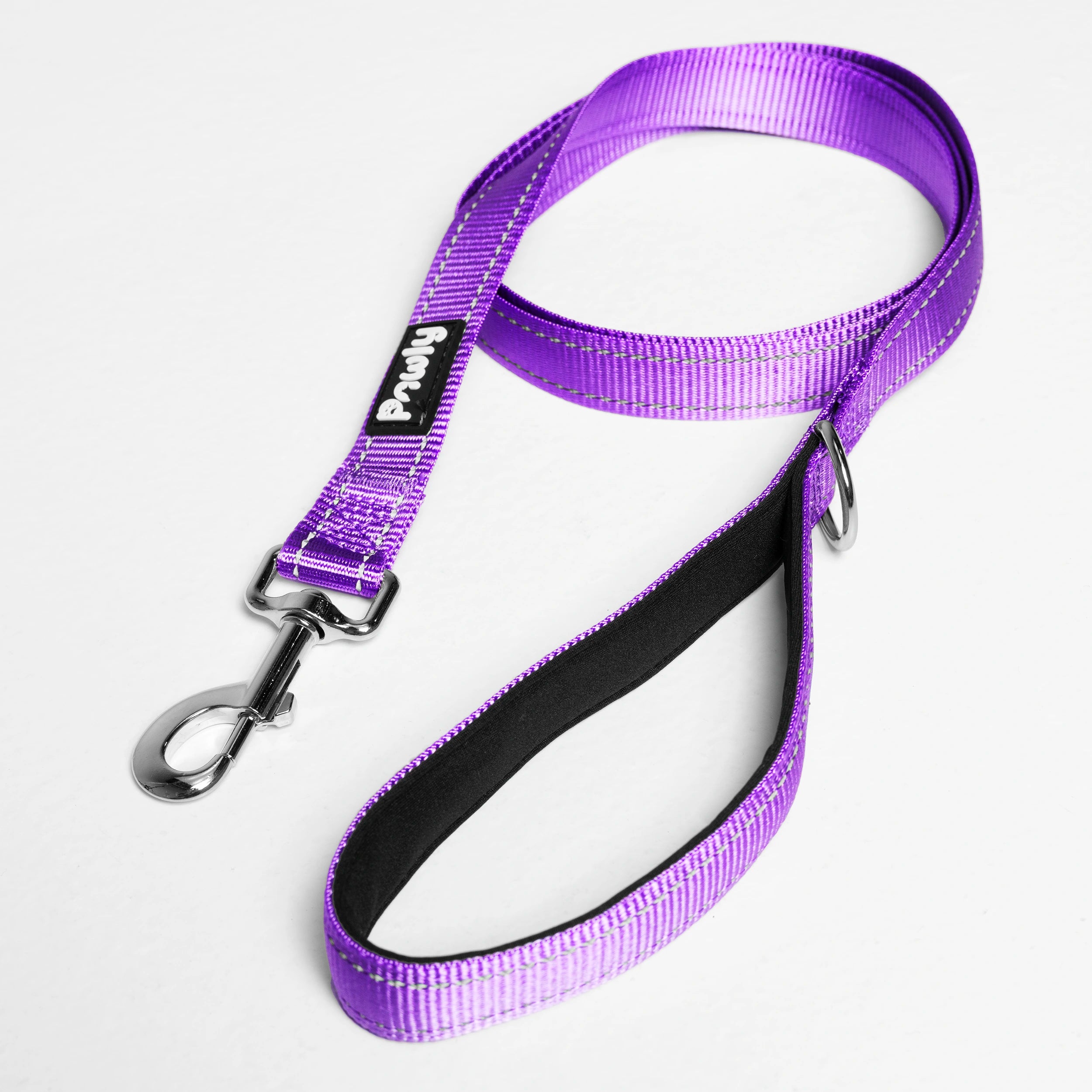 Pawly Reflective Leash