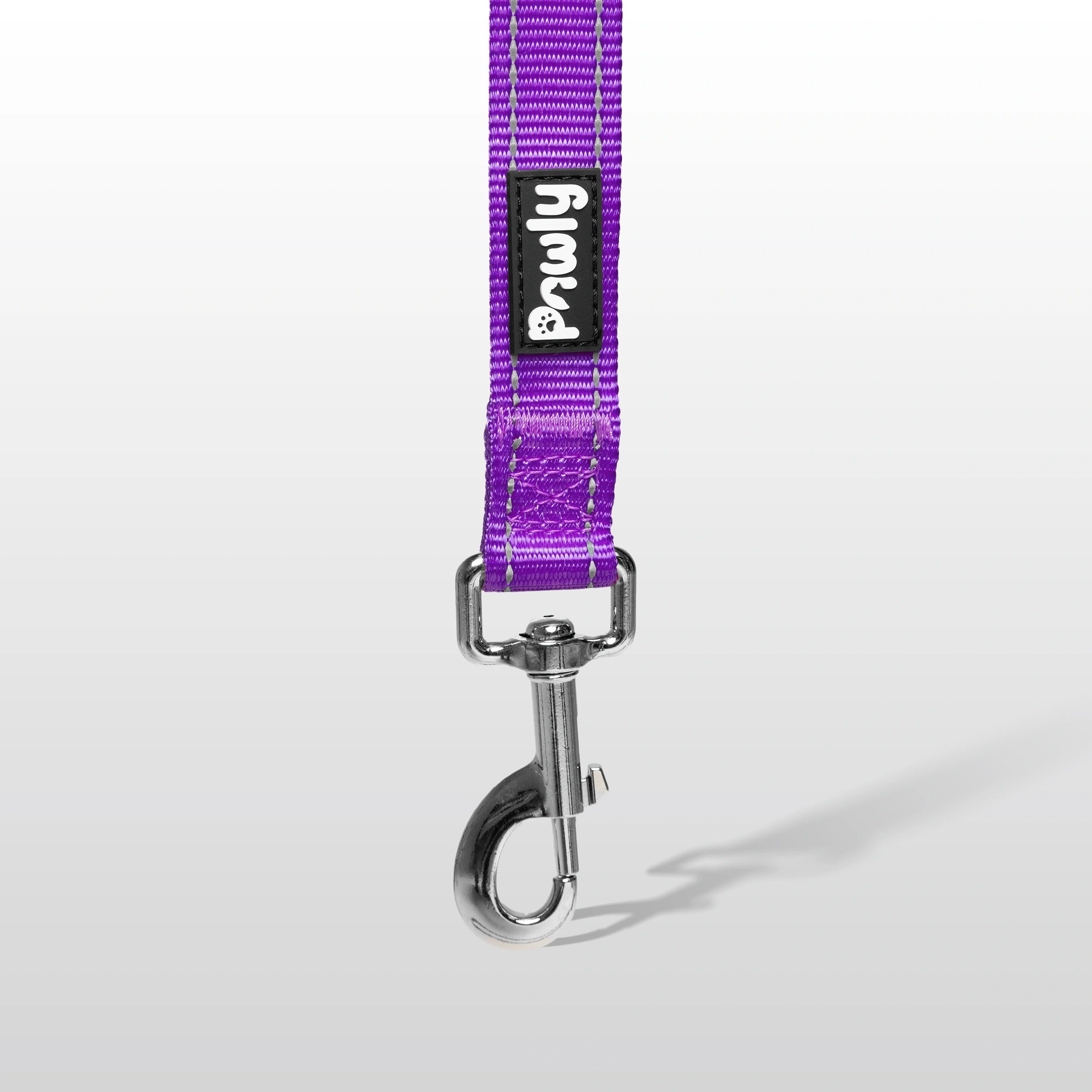Pawly Reflective Leash