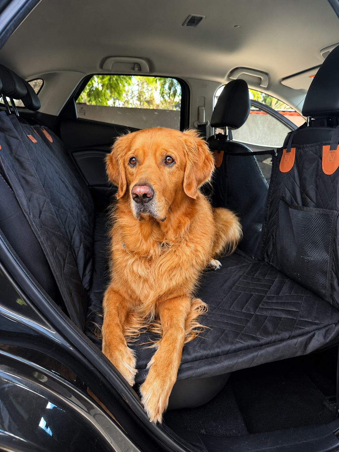 Pawly Travel Seat Cover
