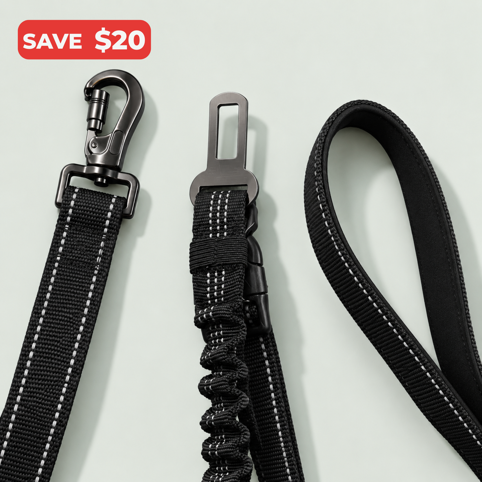 Pawly™ Travel Lead