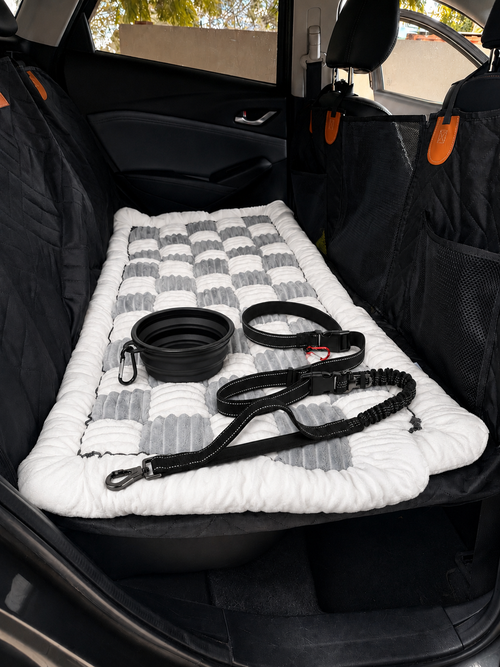 Pawly Complete Travel Bundle