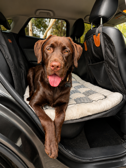 Pawly™ Travel Bundle