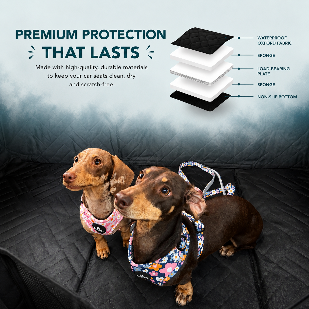 Pawly™ Travel Bundle