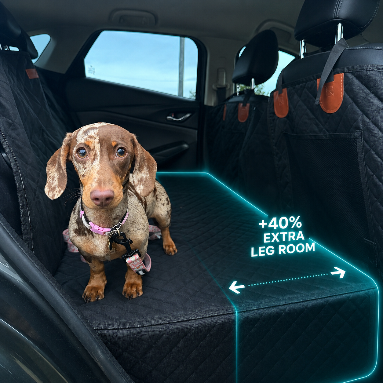 Pawly™ Travel Bundle