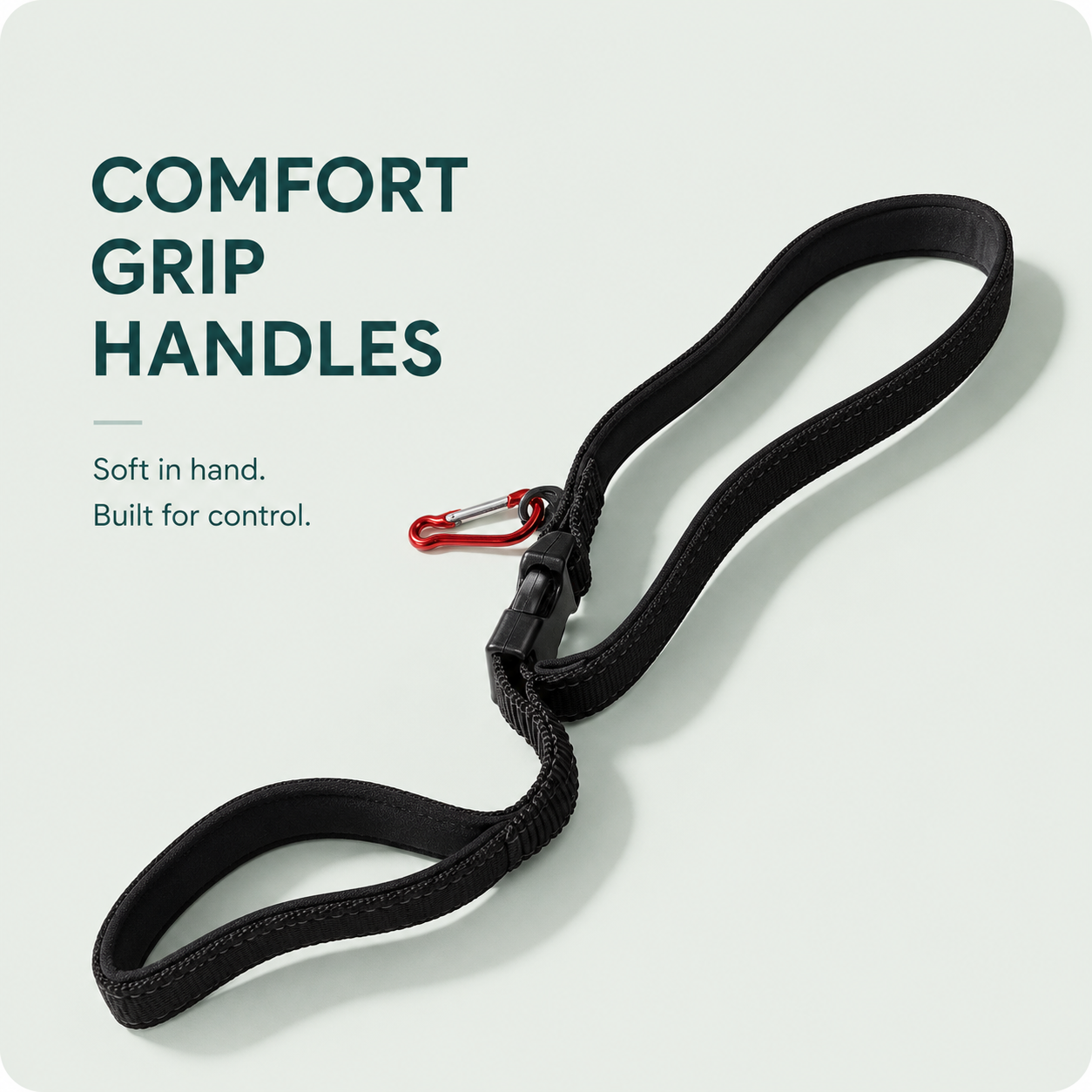 Pawly™ Travel Lead