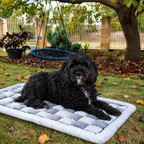 Pawly™ Travel Bed