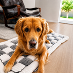 Pawly™ Travel Bed