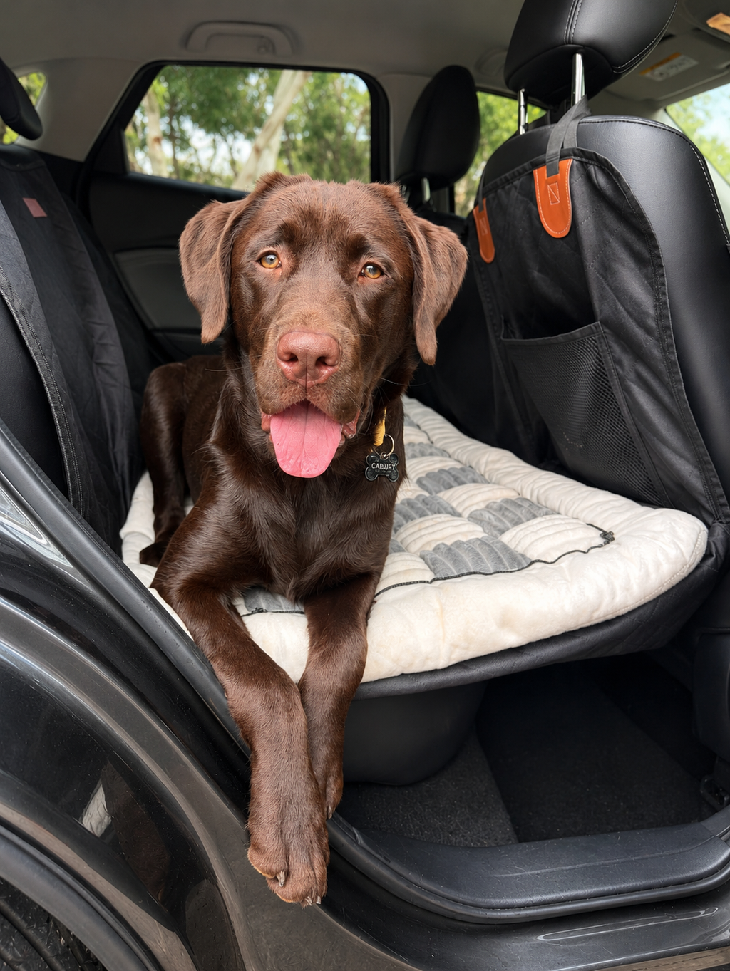 Pawly Travel Comfort Bundle
